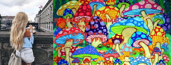 PSILOCYBIN Верхний Тагил