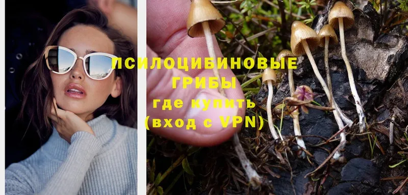 Галлюциногенные грибы Magic Shrooms  Владимир 